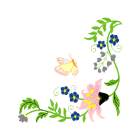 Illustration Wedding