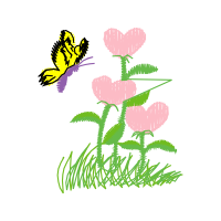 Illustration Wedding