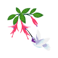 Illustration Wedding