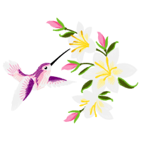 Illustration Wedding Illustration Wedding