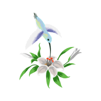 Illustration Wedding