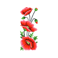 Illustration Wedding