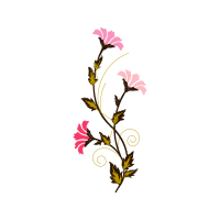 Illustration Wedding Illustration Wedding