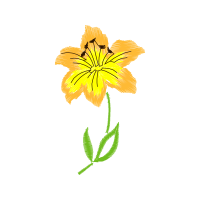 Illustration Wedding Illustration Wedding