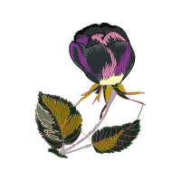 Illustration Wedding Illustration Wedding