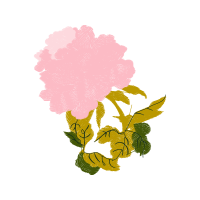 Illustration Wedding Illustration Wedding