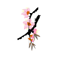 Illustration Wedding