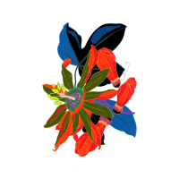 Illustration Wedding Illustration Wedding