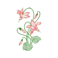 Illustration Wedding Illustration Wedding