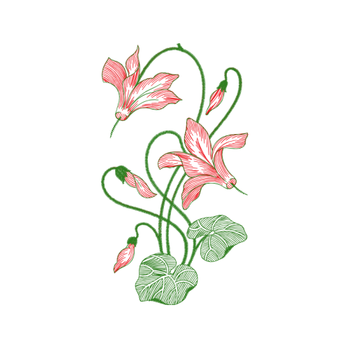 Illustration Wedding Illustration Wedding