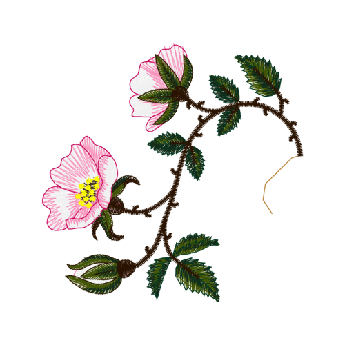 Illustration Wedding Illustration Wedding