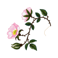 Illustration Wedding Illustration Wedding