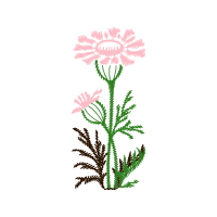 Illustration Wedding Illustration Wedding