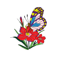 Illustration Wedding