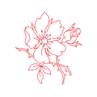 Illustration Wedding