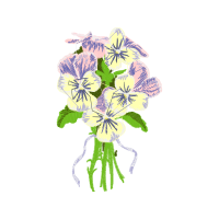 Illustration Wedding