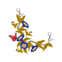 Illustration Wedding Illustration Wedding