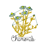 Illustration Wedding Illustration Wedding