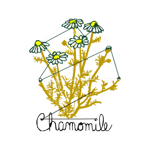 Illustration Wedding Illustration Wedding