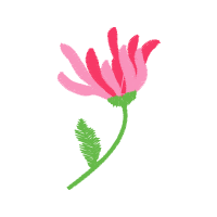 Illustration Wedding