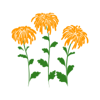 Illustration Wedding Illustration Wedding