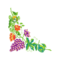 Illustration Wedding