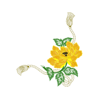 Illustration Wedding