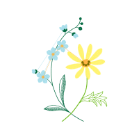 Illustration Wedding Illustration Wedding