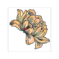 Illustration Wedding