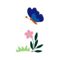 Illustration Wedding Illustration Wedding