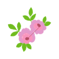 Illustration Wedding Illustration Wedding