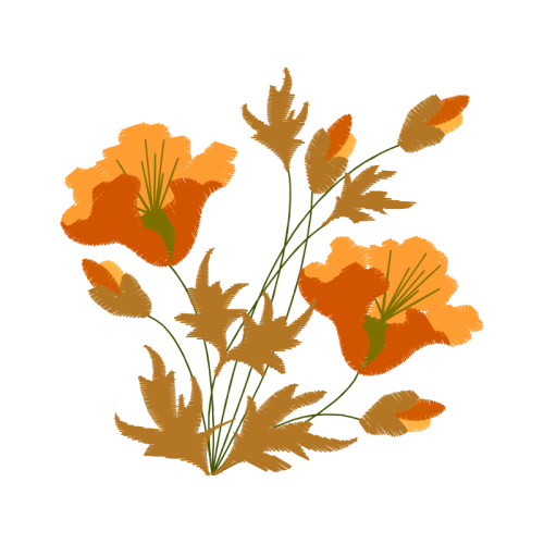 Illustration Wedding Illustration Wedding