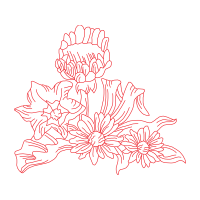 Illustration Wedding Illustration Wedding