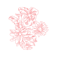 Illustration Wedding Illustration Wedding