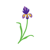 Illustration Wedding