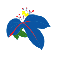 Illustration Wedding Illustration Wedding