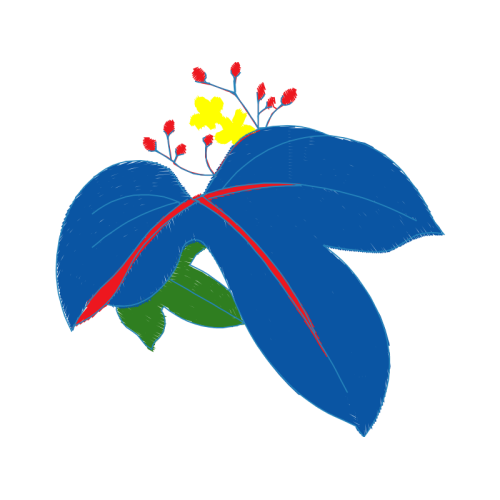 Illustration Wedding Illustration Wedding