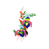 Illustration Wedding Illustration Wedding