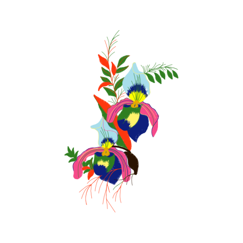 Illustration Wedding Illustration Wedding