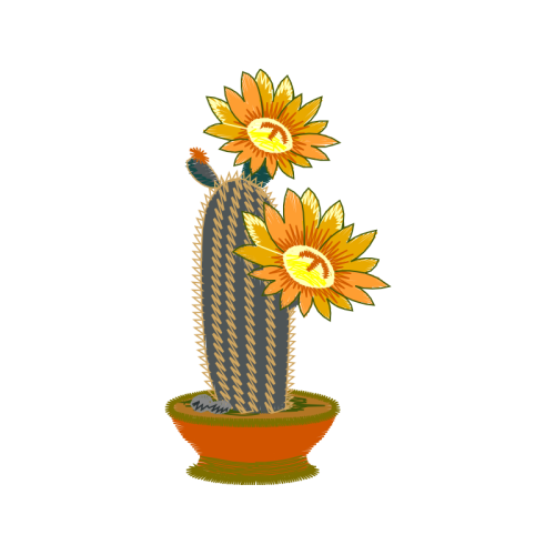 Illustration Wedding Illustration Wedding