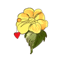 Illustration Wedding