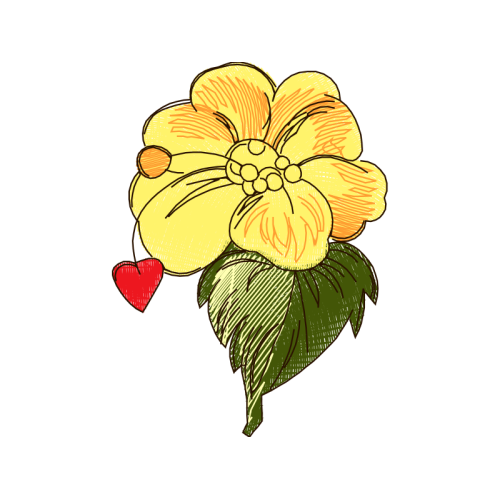 Illustration Wedding Illustration Wedding