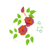 Illustration Wedding Illustration Wedding