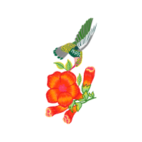 Illustration Wedding