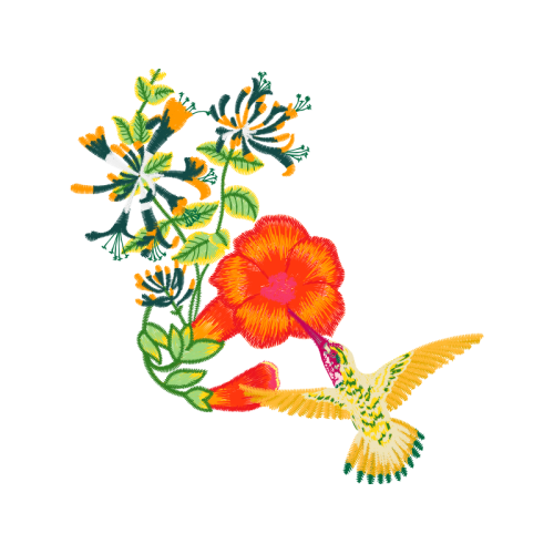 Illustration Wedding Illustration Wedding