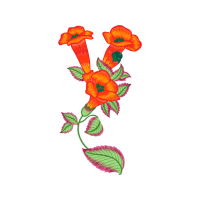 Illustration Wedding