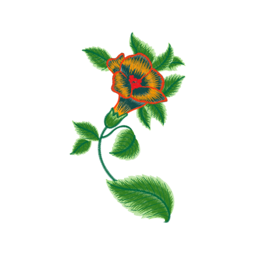 Illustration Wedding Illustration Wedding