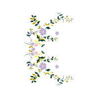 Illustration Wedding