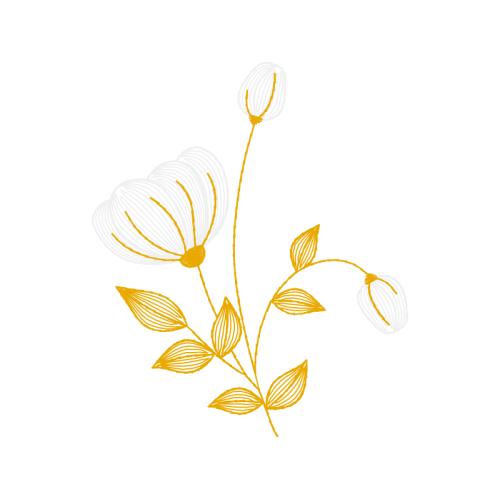 Illustration Wedding Illustration Wedding