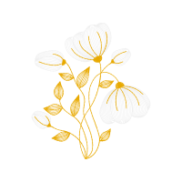 Illustration Wedding Illustration Wedding